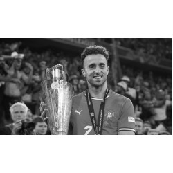 Portugal verliert seinen Topstürmer Diogo Jota